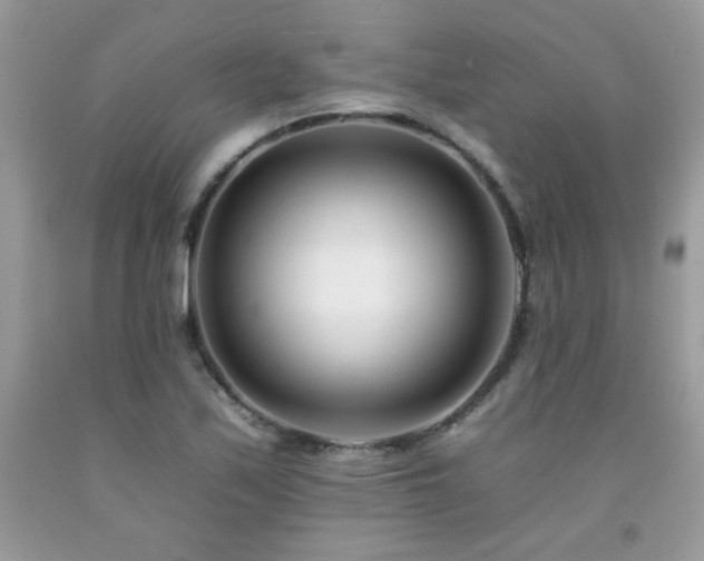 X0000092261171200709141203