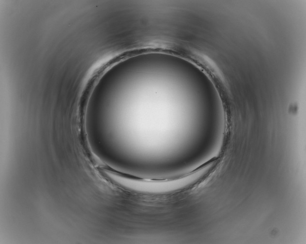 X0000092261172200709141203