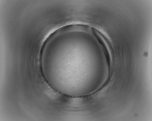 X0000092261173200709141203