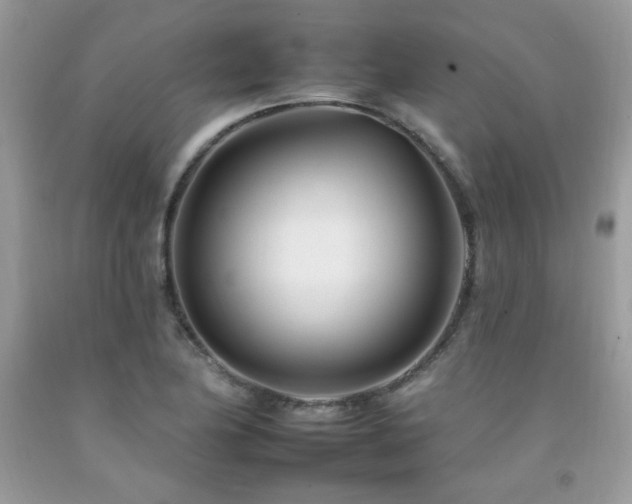X0000092261174200709141203