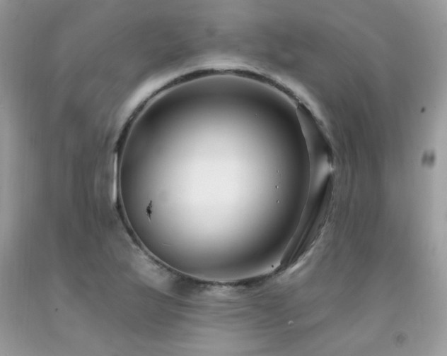 X0000092261175200709141203