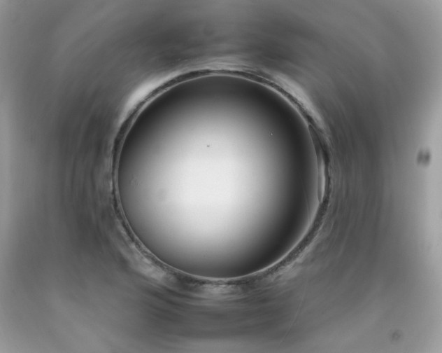 X0000092261176200709141203