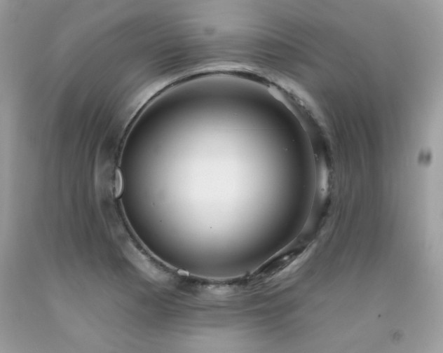 X0000092261177200709141203