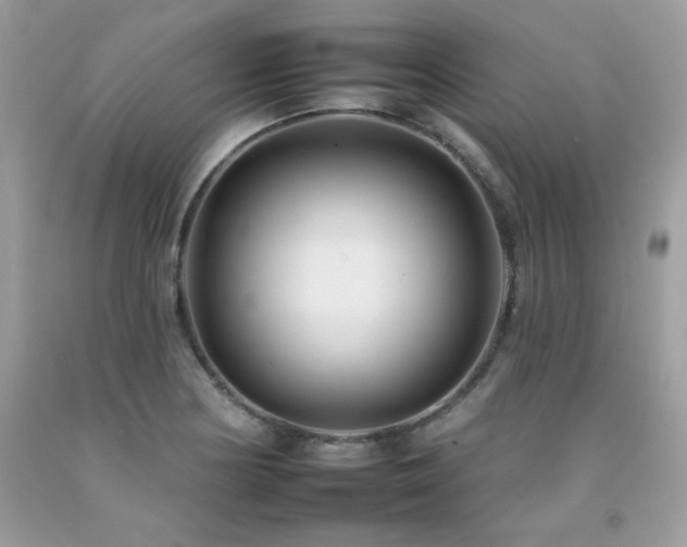 X0000092261178200709141203