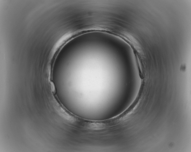 X0000092261180200709141203
