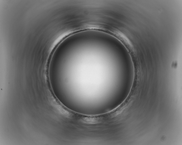 X0000092261182200709141203