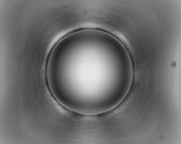 X0000092261183200709141203