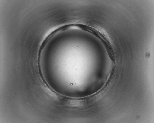 X0000092261184200709141203