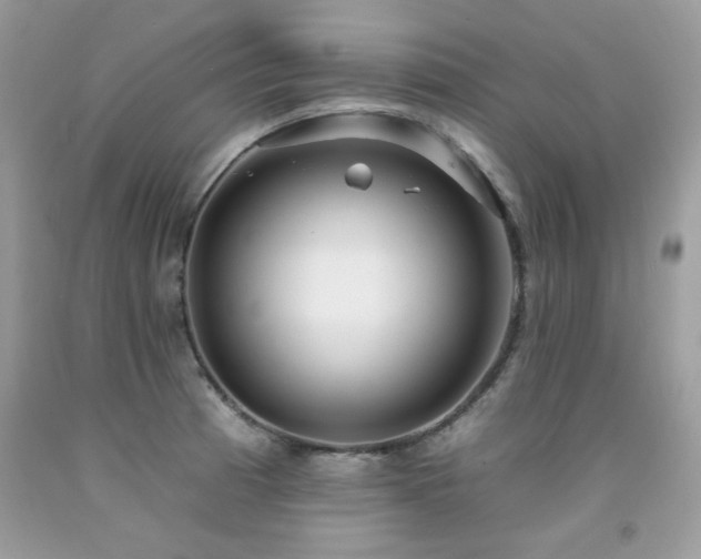 X0000092261185200709141203