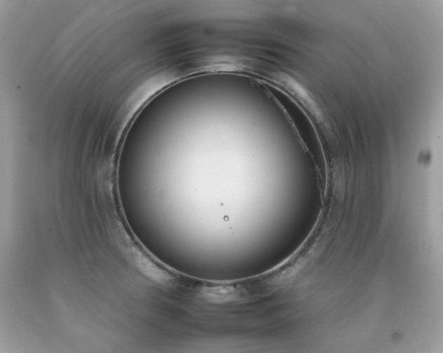 X0000092261186200709141203