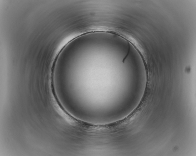 X0000092261187200709141203