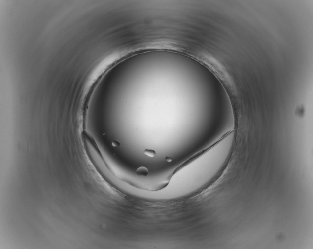 X0000092261188200709141203