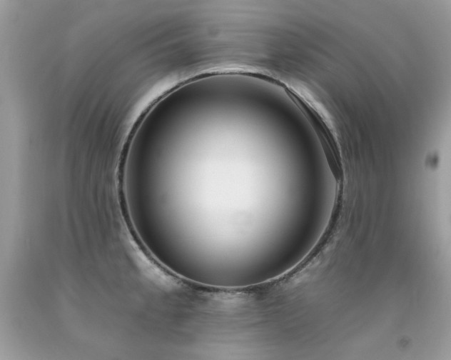 X0000092261189200709141203