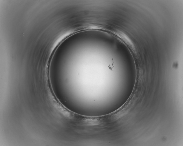 X0000092261190200709141203