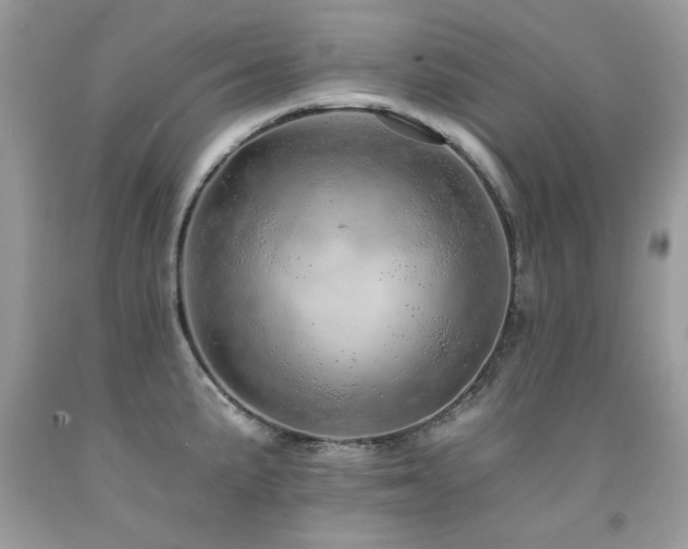 X0000092261191200709141203