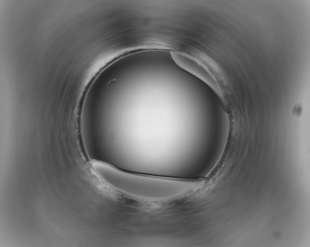 X0000092261192200709141203