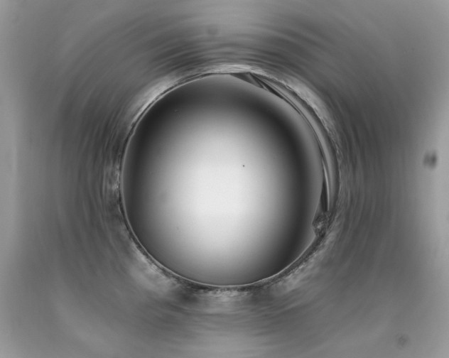 X0000092261193200709141203