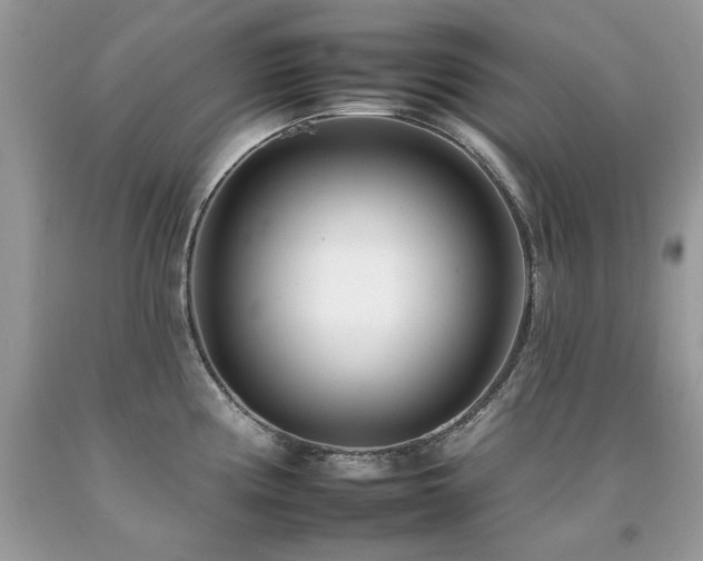 X0000092261194200709141203