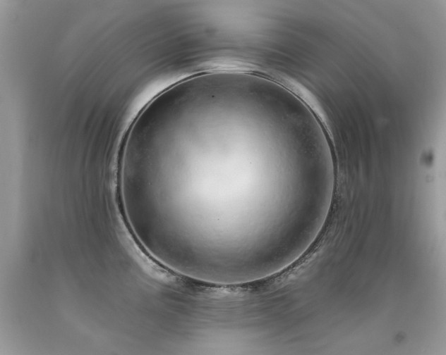 X0000092261195200709141203