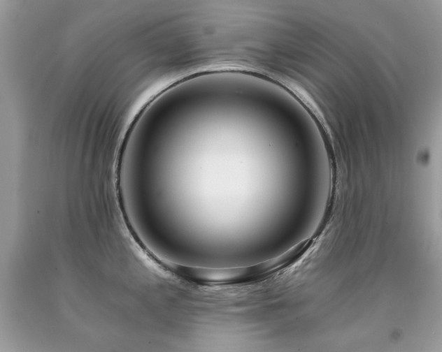 X0000092261197200709141203