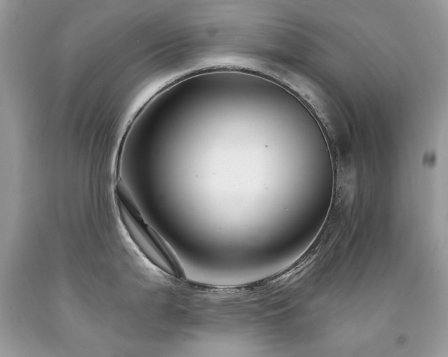 X0000092261199200709141203