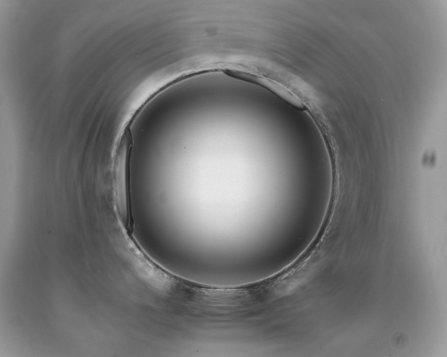 X0000092261200200709141203