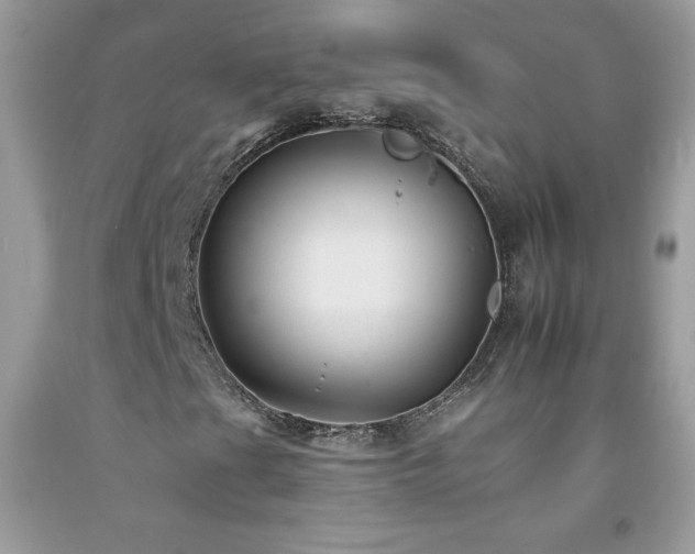 X0000092261201200709141202
