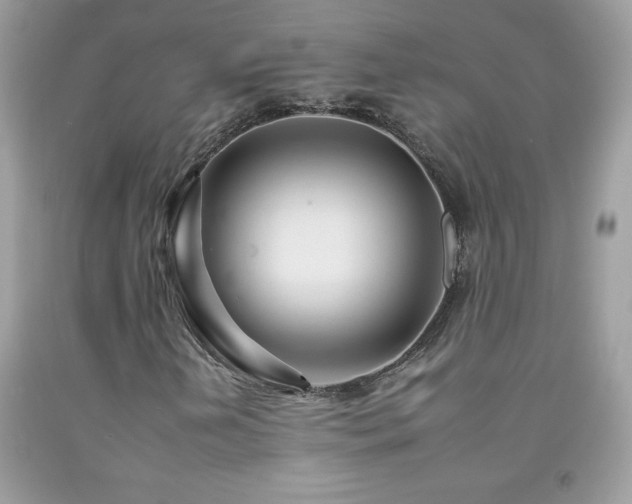 X0000092261202200709141202