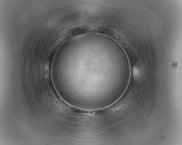 X0000092261203200709141202
