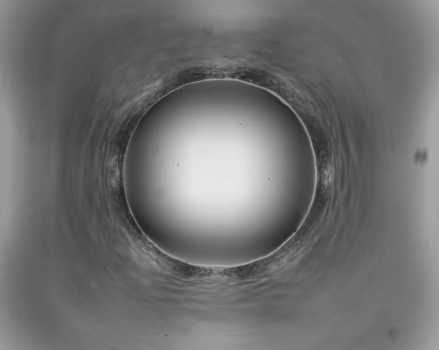 X0000092261204200709141202