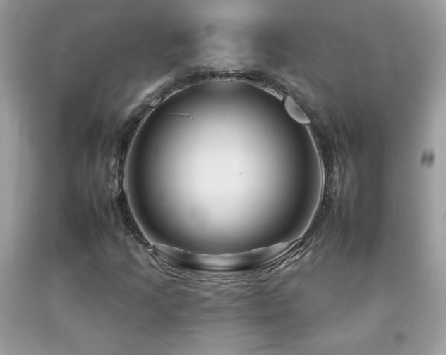 X0000092261205200709141202