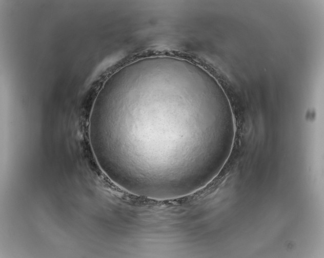 X0000092261207200709141202