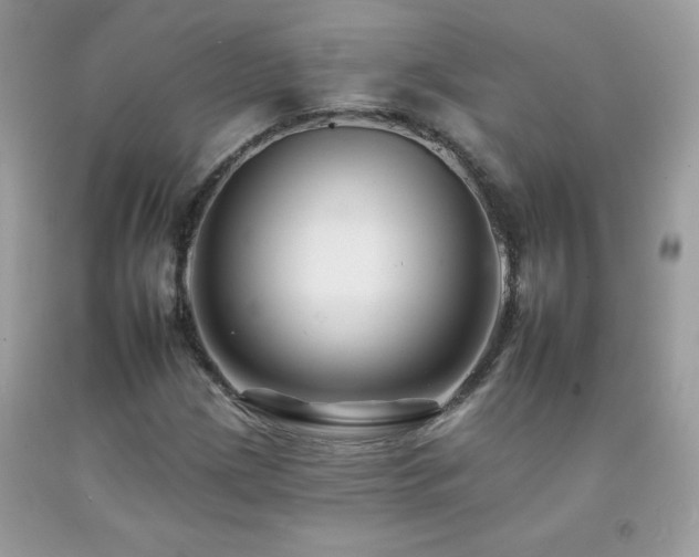 X0000092261209200709141202