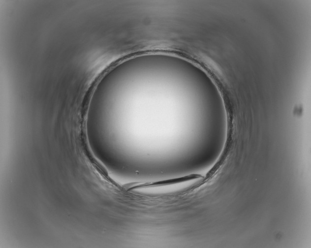 X0000092261212200709141202