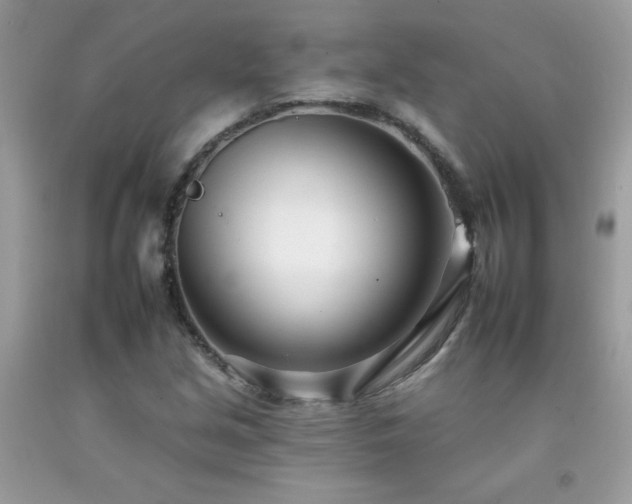 X0000092261213200709141202