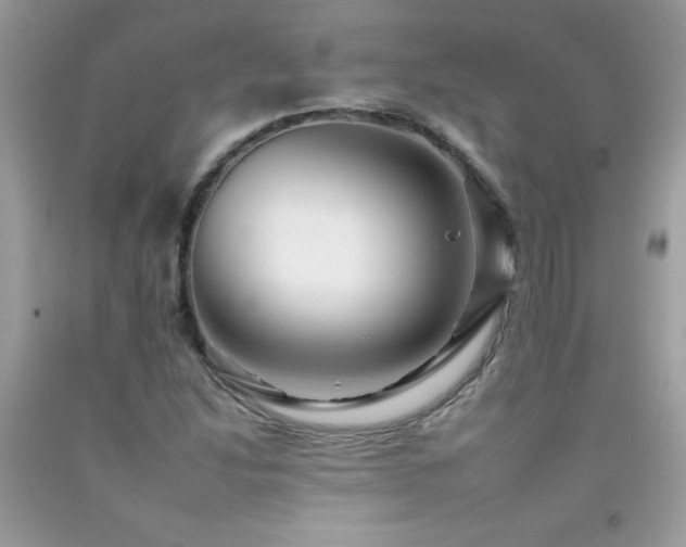 X0000092261214200709141202