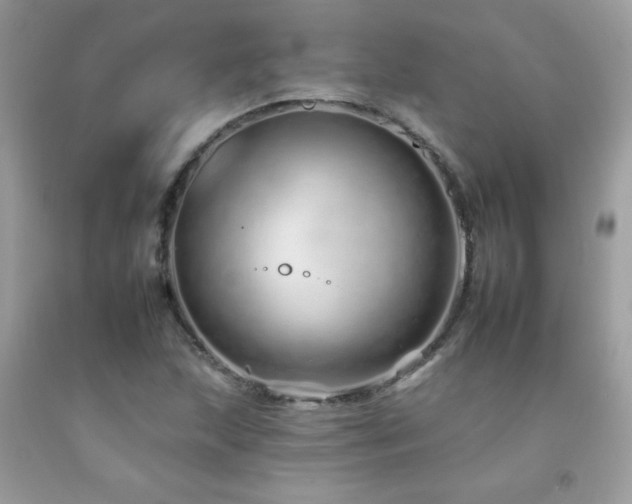 X0000092261215200709141202