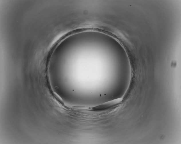 X0000092261216200709141202