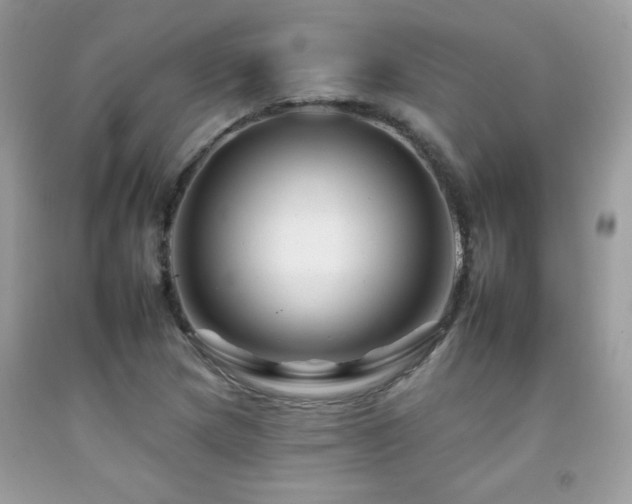 X0000092261217200709141202