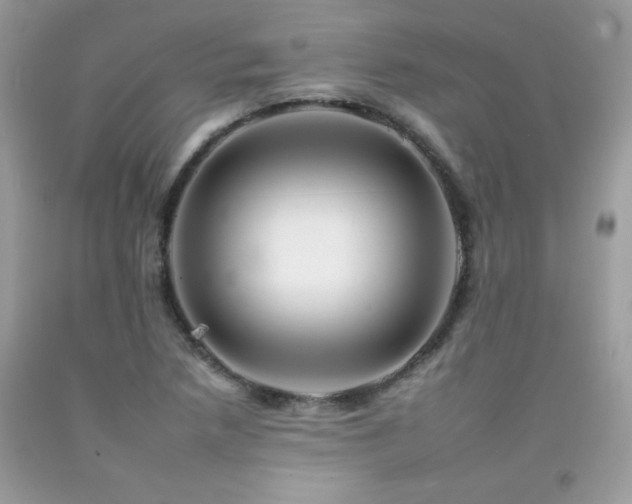 X0000092261218200709141202