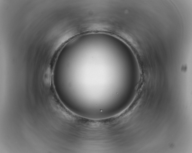 X0000092261219200709141202