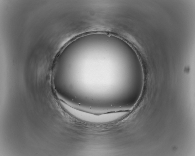 X0000092261220200709141202