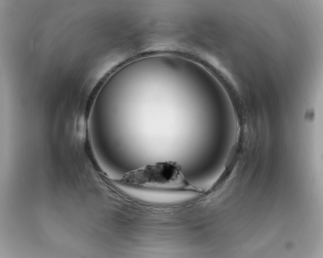X0000092261221200709141202