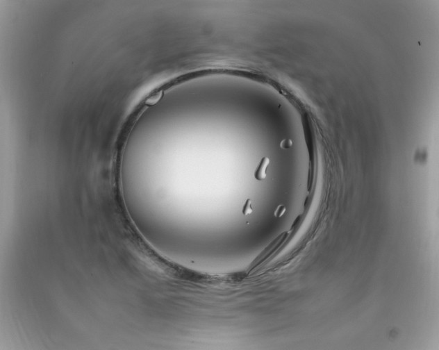 X0000092261222200709141202