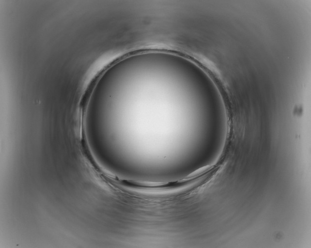 X0000092261223200709141202