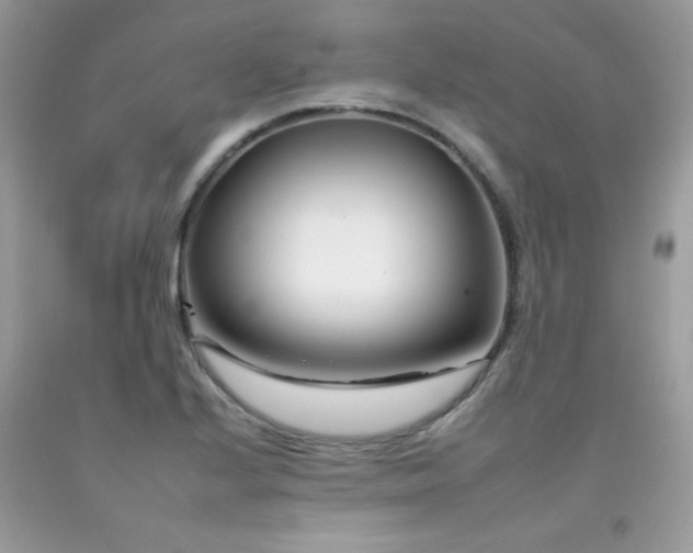 X0000092261224200709141202