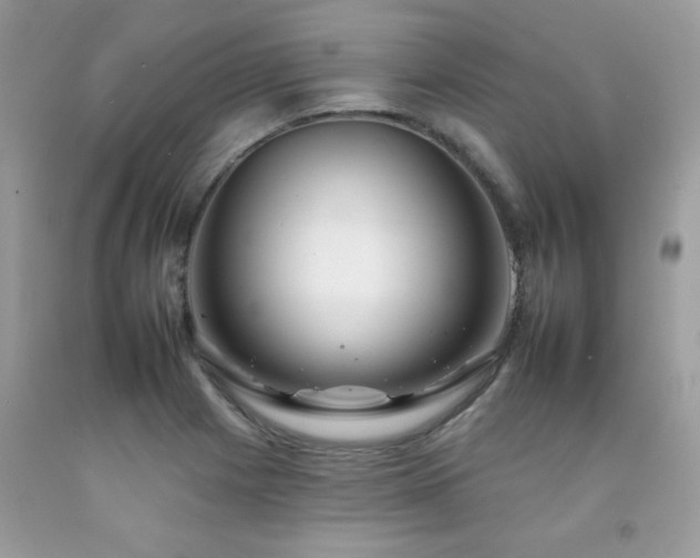 X0000092261225200709141202