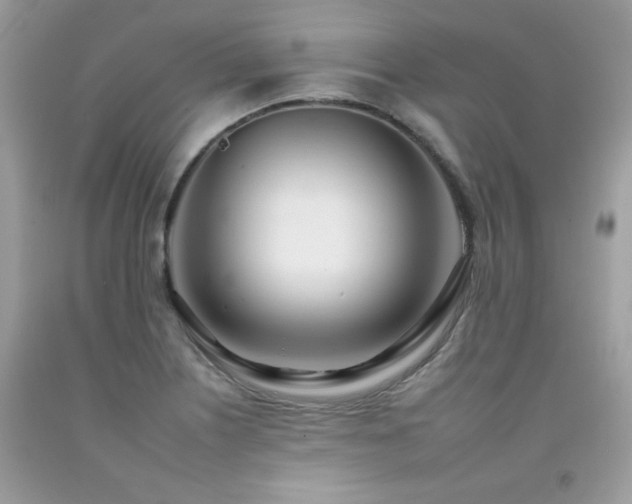 X0000092261226200709141202
