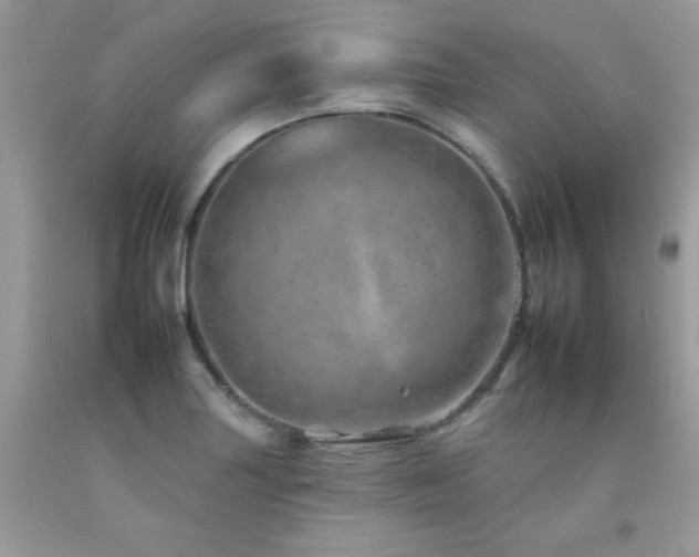 X0000092261227200709141202