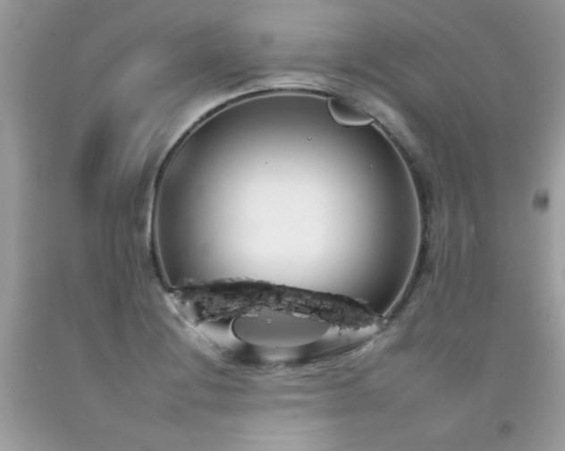 X0000092261228200709141202